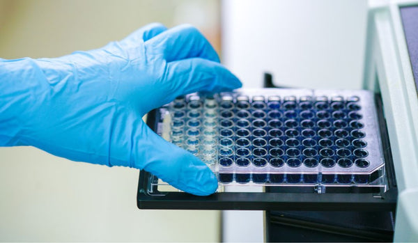 Accelerating Analysis Workflow with Your Microplate Reader