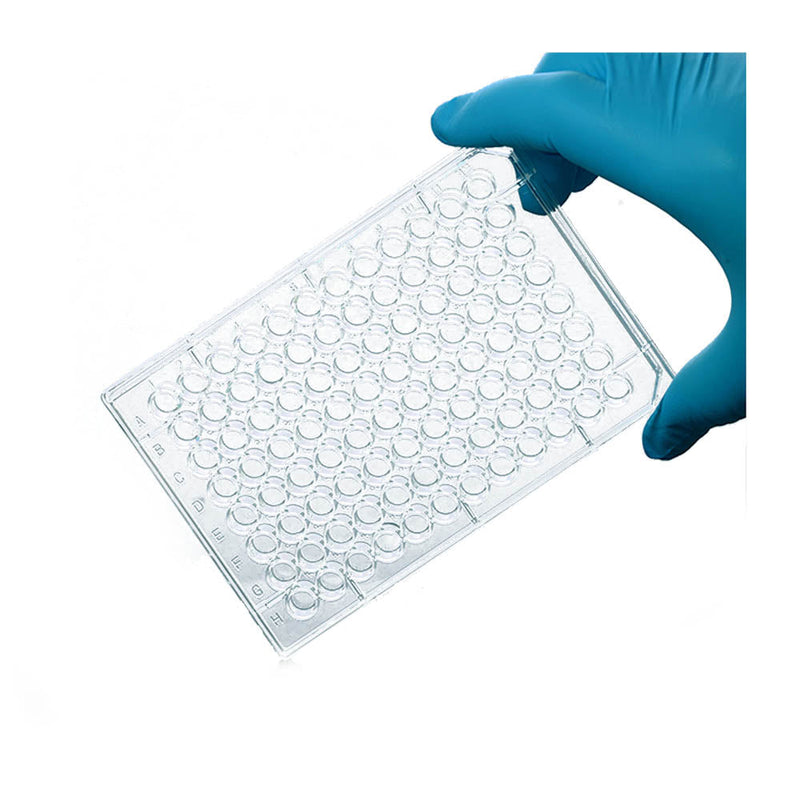 24 wells Cell Culture Plate (TC-treated)